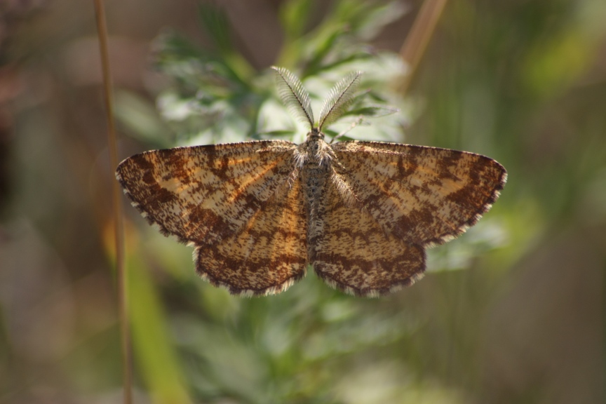 ciclabile Arluno-Boffalora